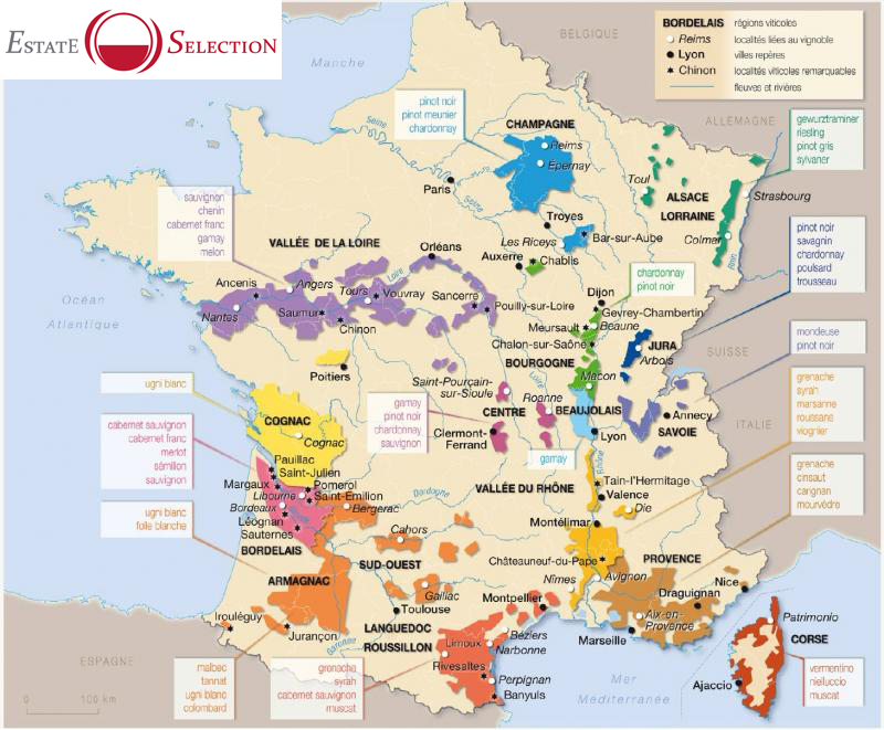 Bordeaux, vins Bourgogne, Vallée du Rhône, Beaujolais, Provence, Sud-Ouest,  Loire  - Estate Selection